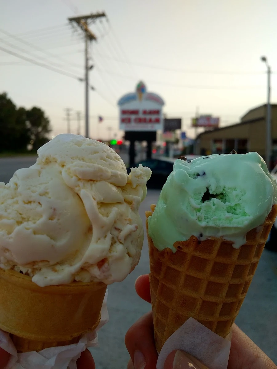 Mint Chocolate Chip Ice Cream Cone