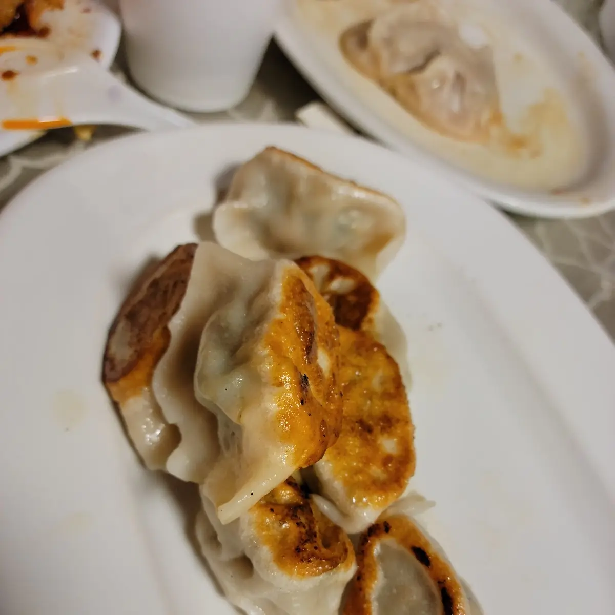 Pork Pan Fried Dumplings