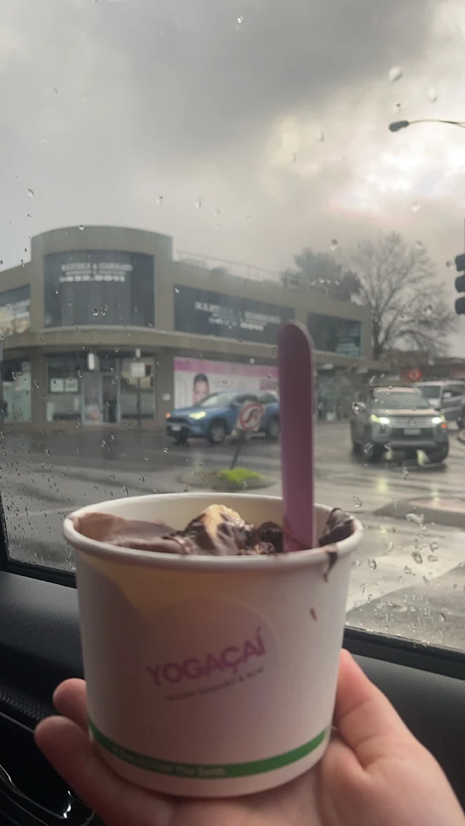 Highlights, Yogacai