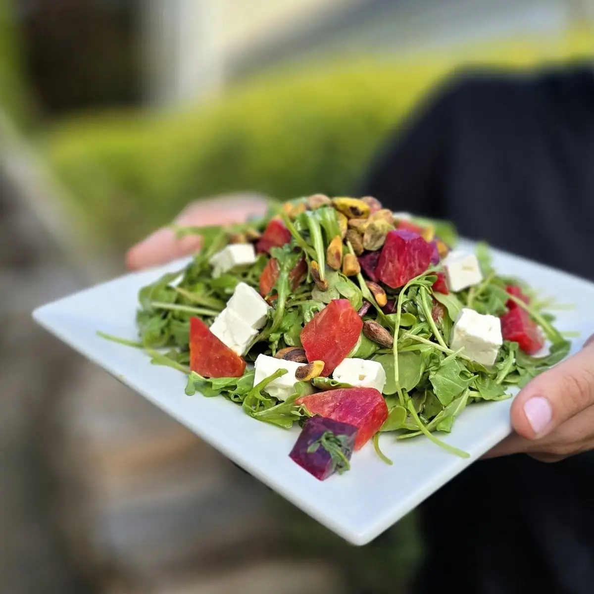 Field Green Salad