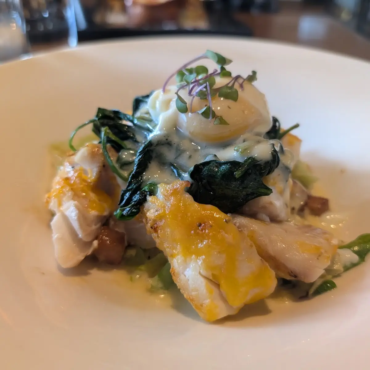 Burrata Salad