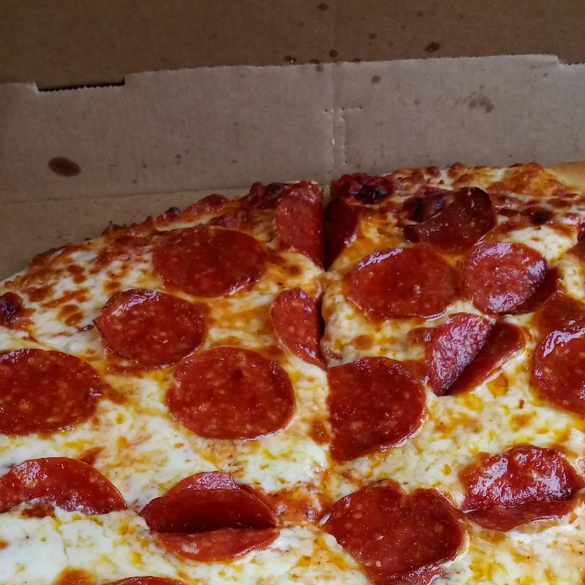 Thin Crust Pizza