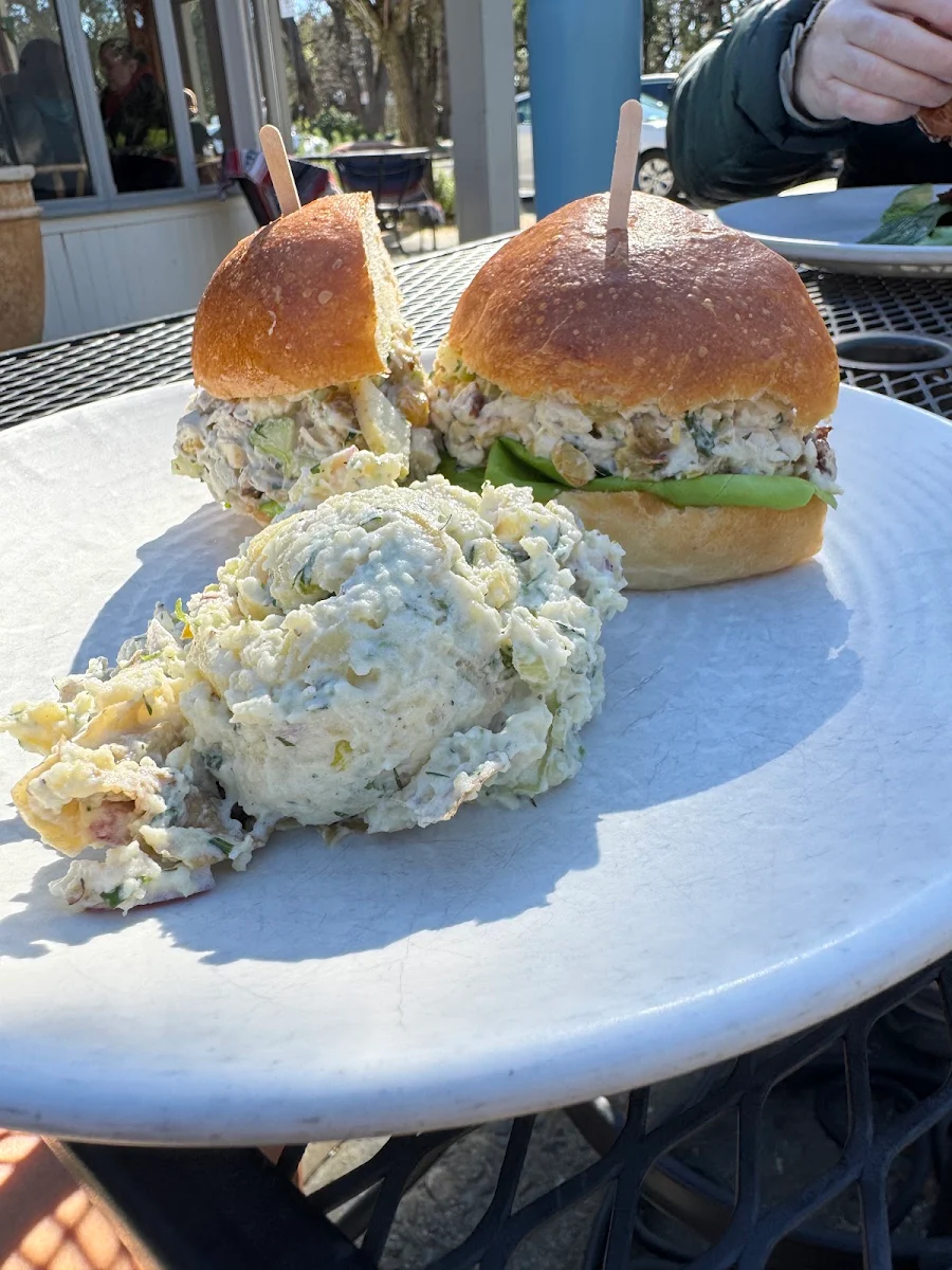 Chicken Salad Sandwich with Potato Salad