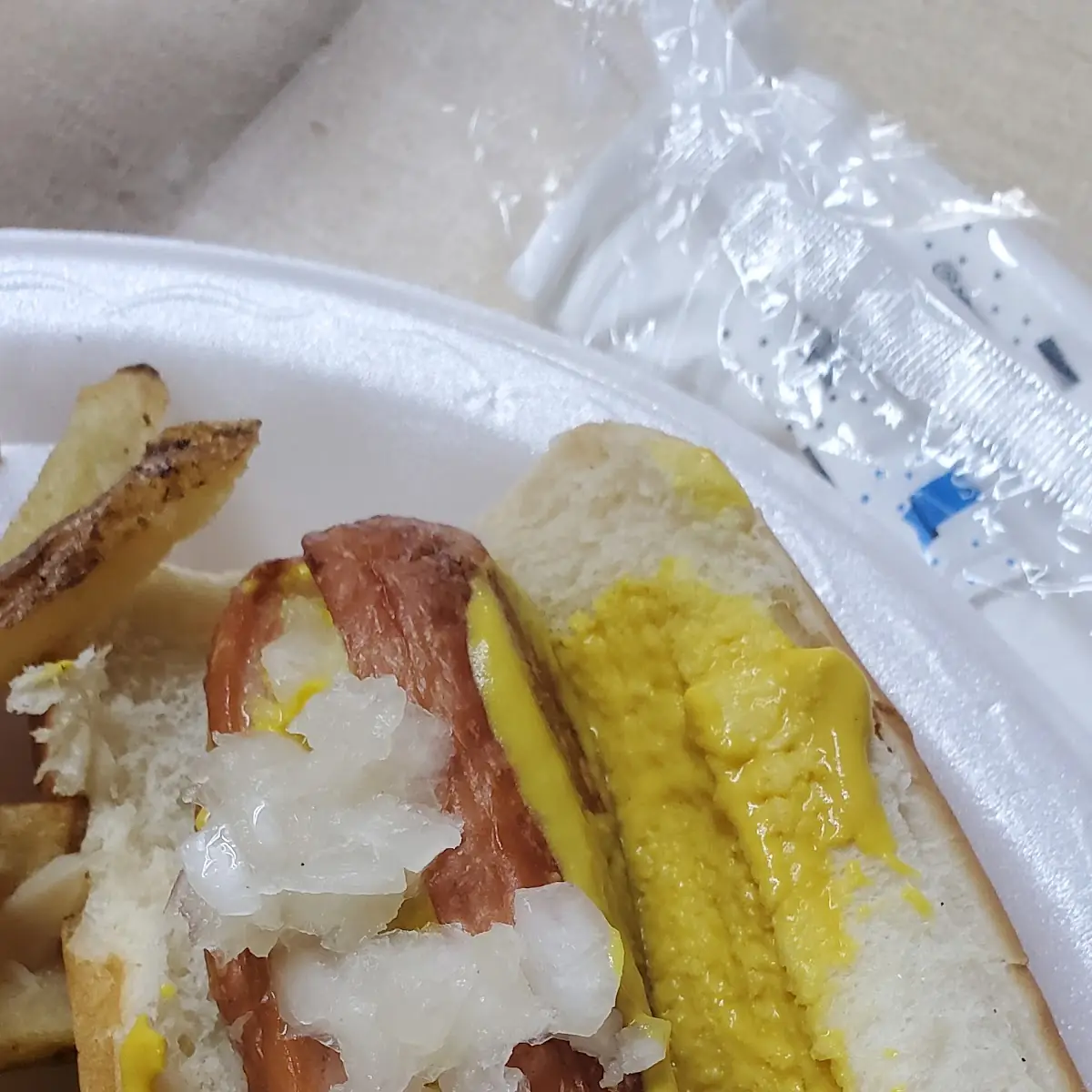 Hot Dog and Fries