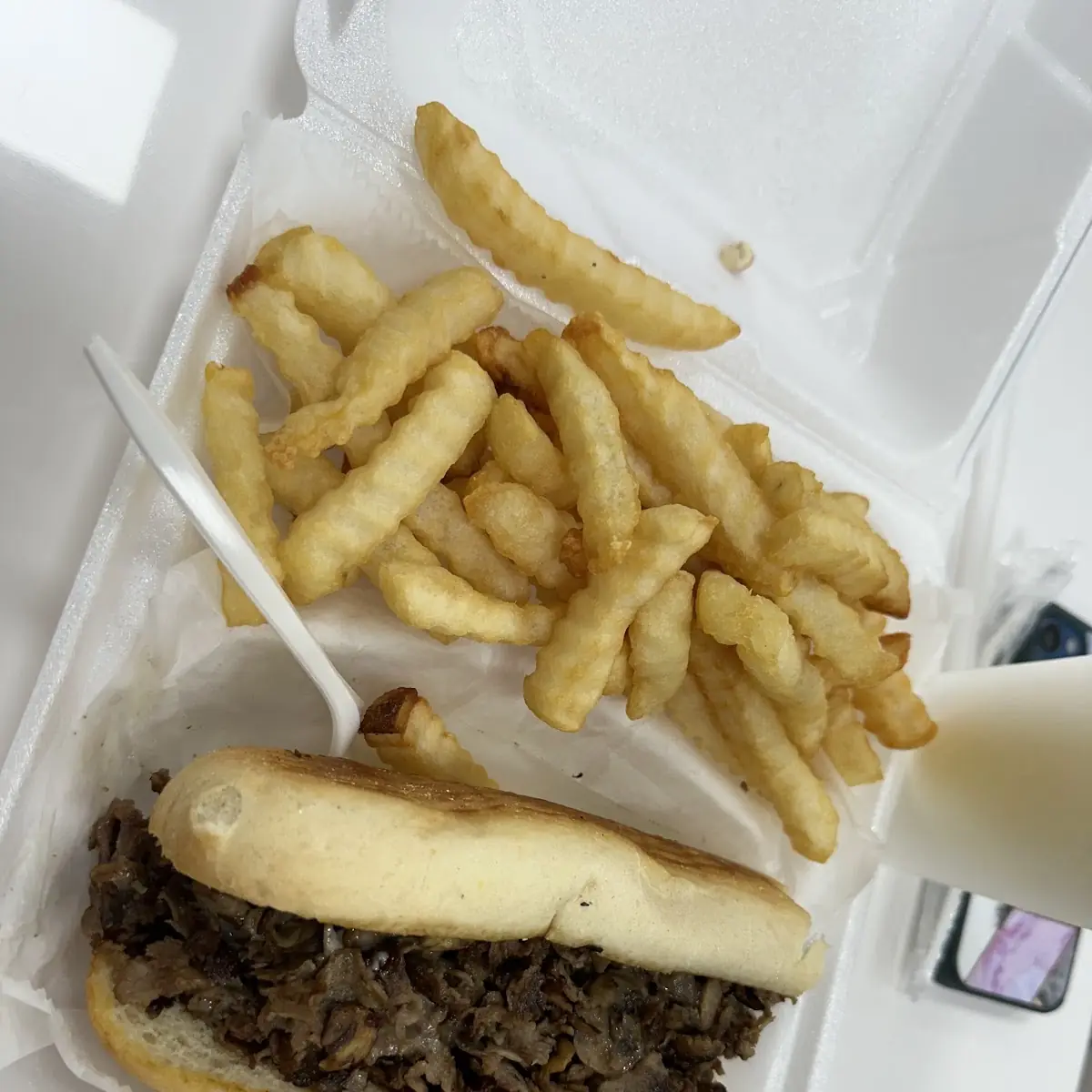 Philly Cheesesteak N Fries