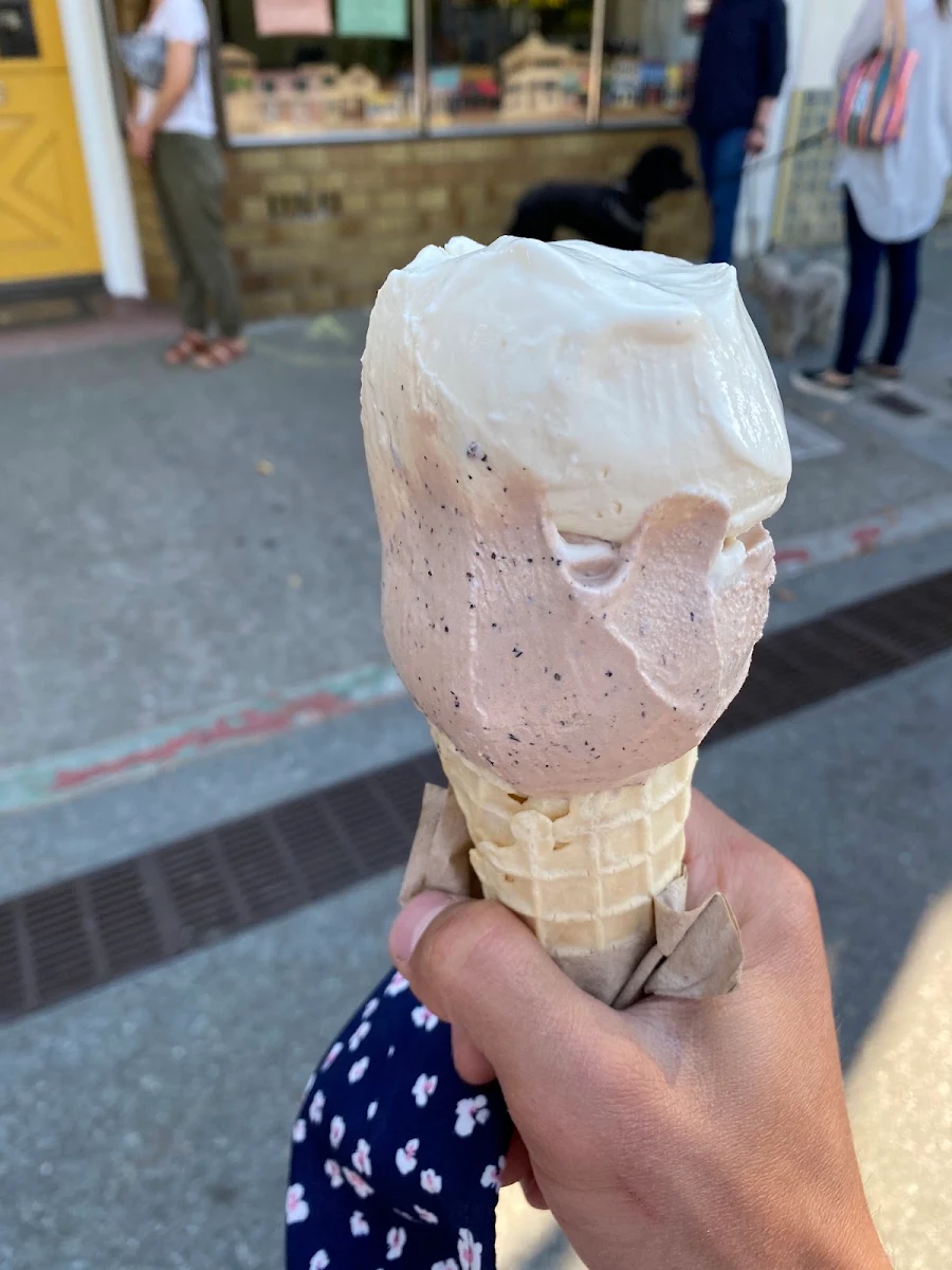 Blackberry Chip Ice Cream Cone
