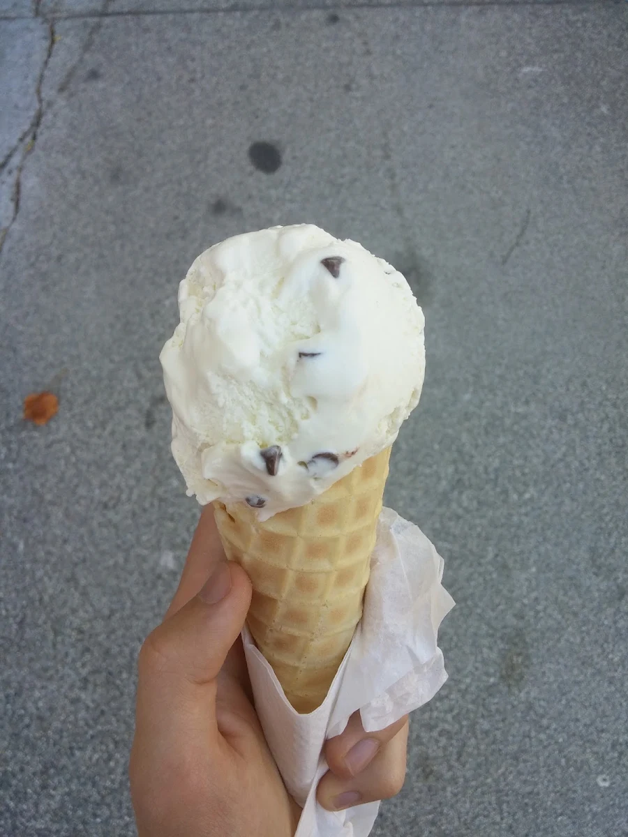 Vanilla Chocolate Chip