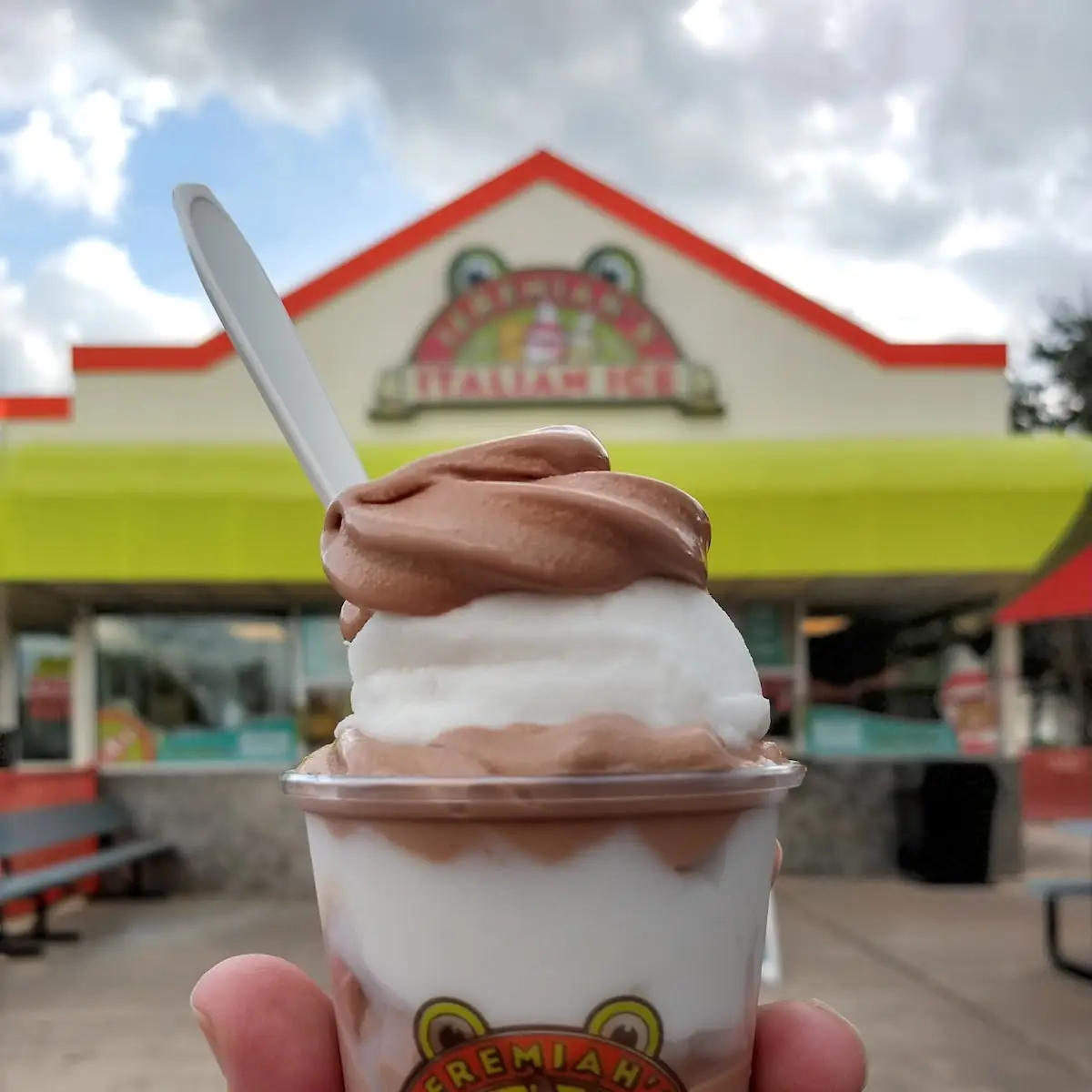 Chocolate Soft Serve Ice Cream