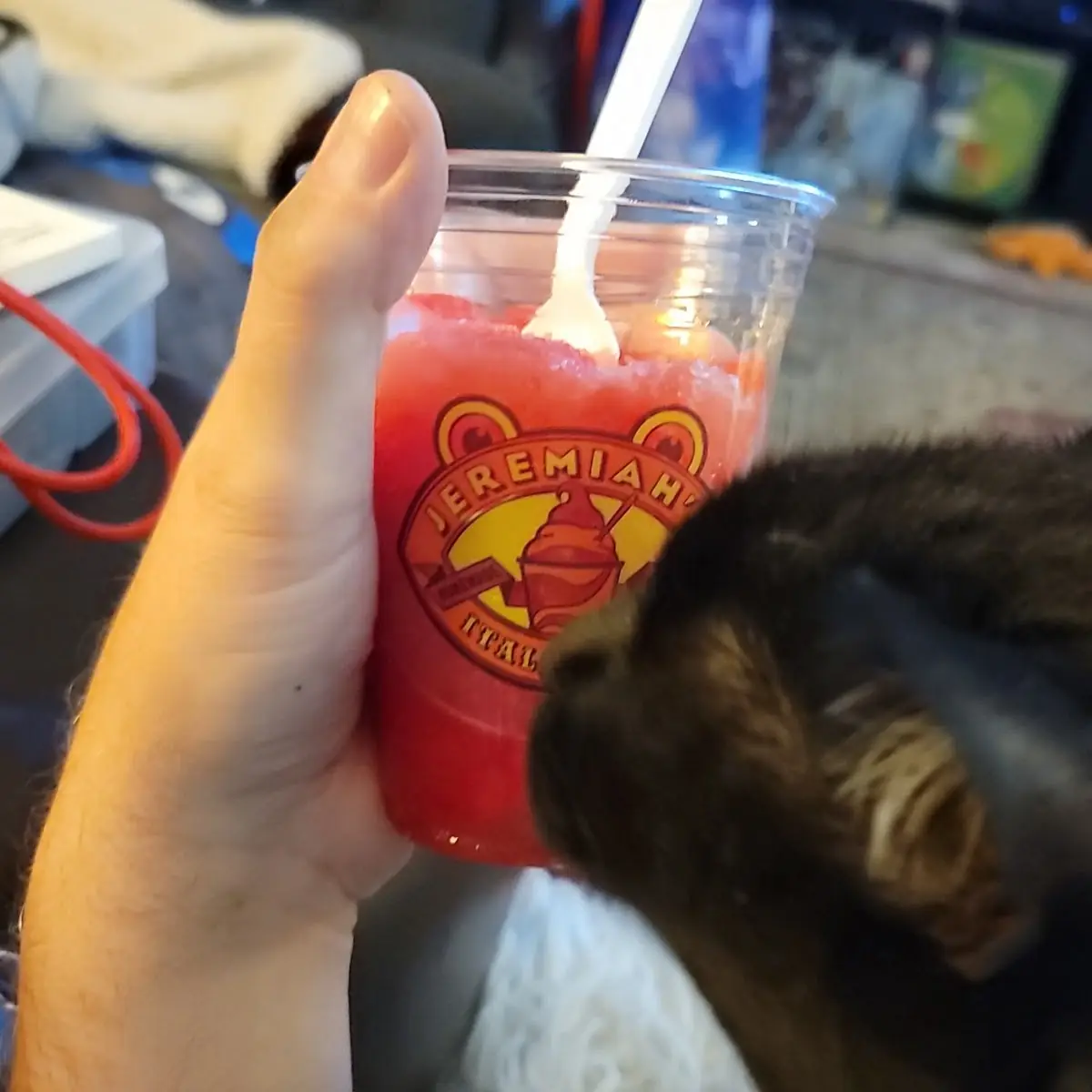 Sugar Free Cherry Italian Ice