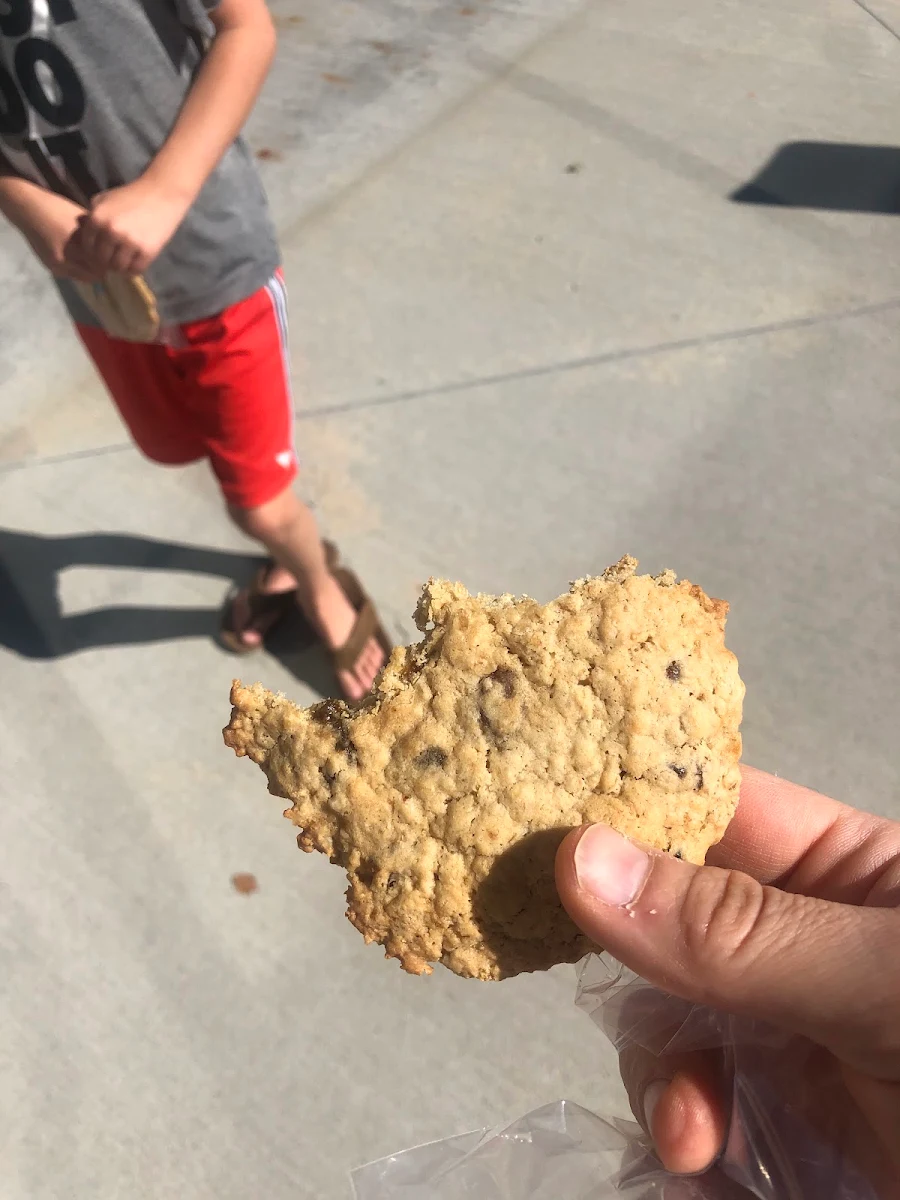 Oatmeal Raisin Cookie