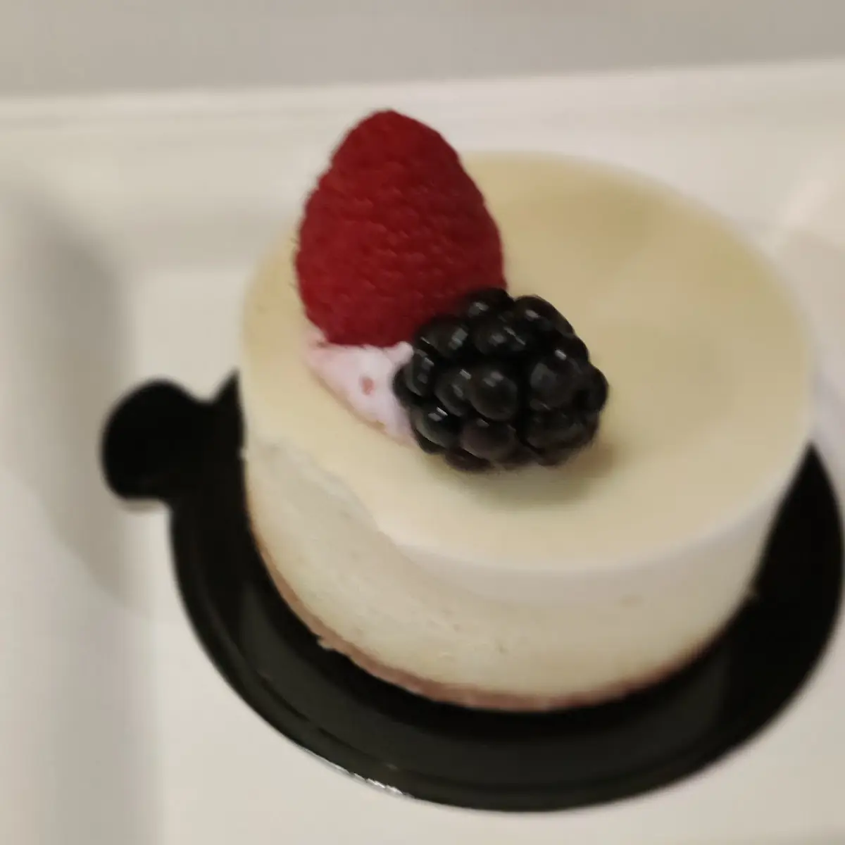 Cheese Cake