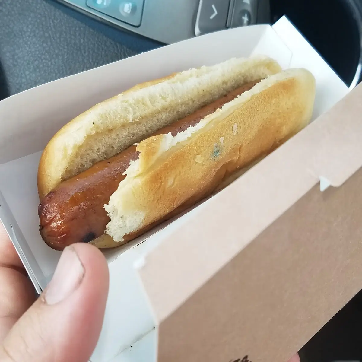 Hot Dog