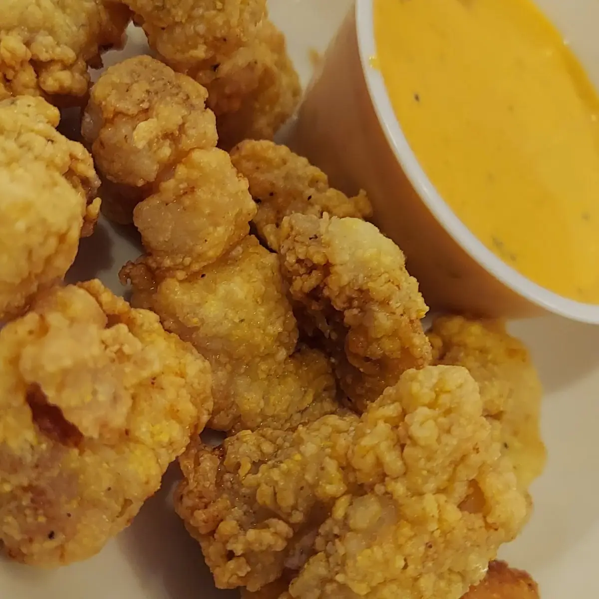 Gator Bites