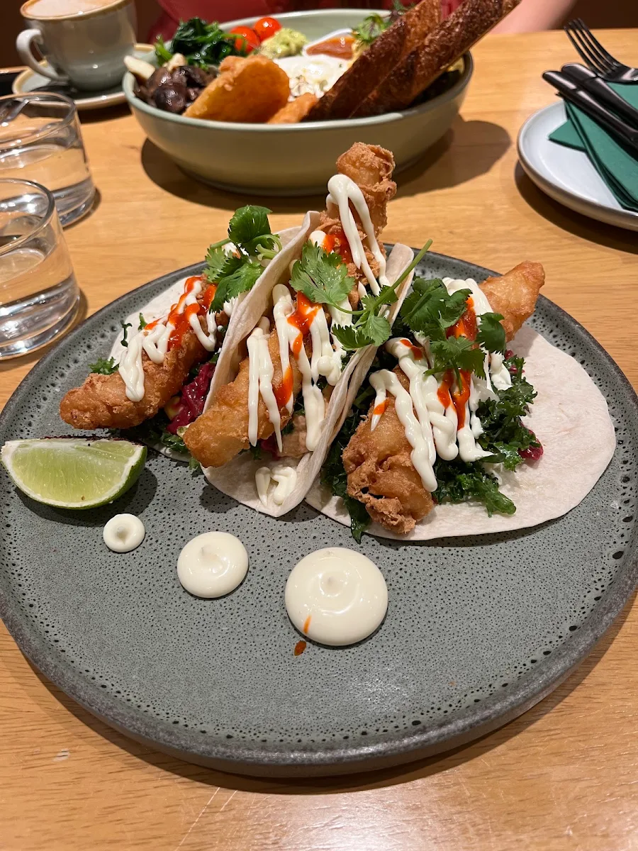 Fish Tacos, Urban Jungle Cafe