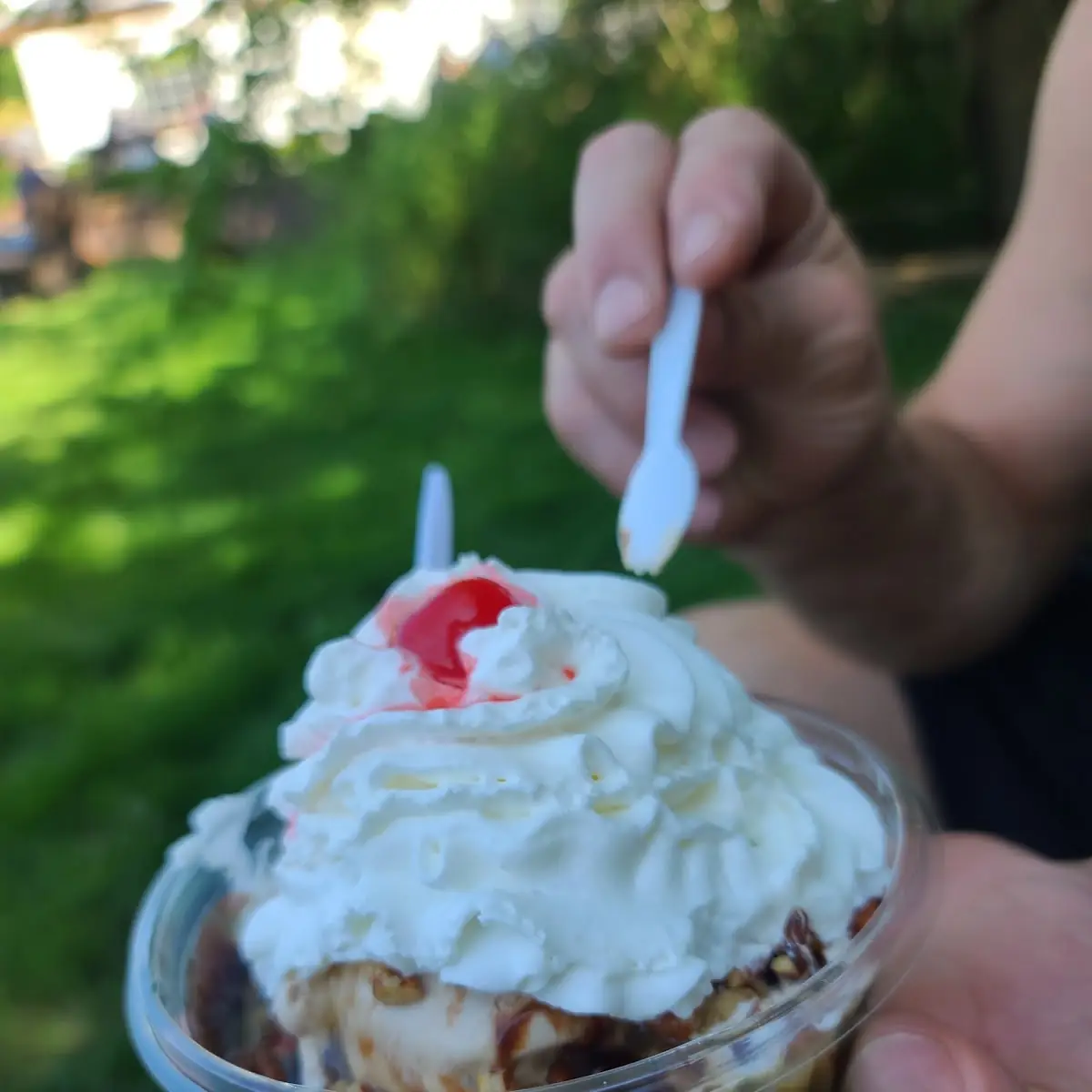 Black Raspberry Sundae