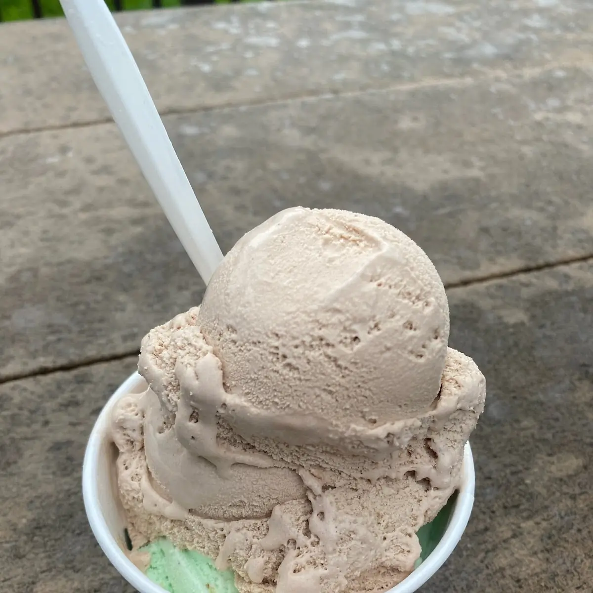 Penuchi Fudge and Mint Chocolate Chip