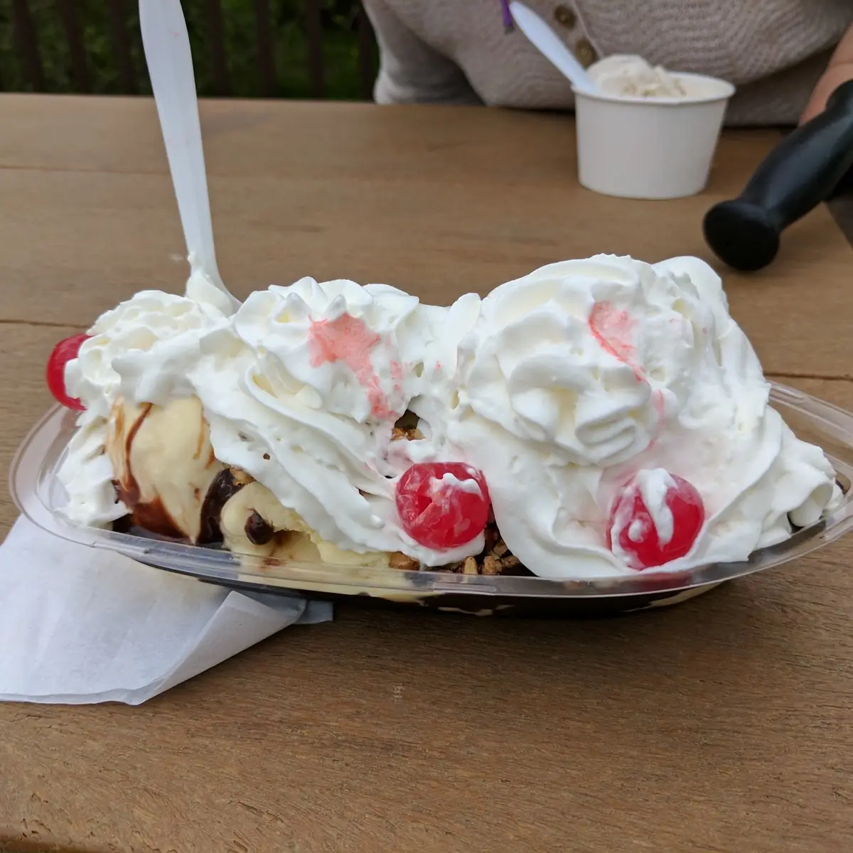 Turtle Sundae