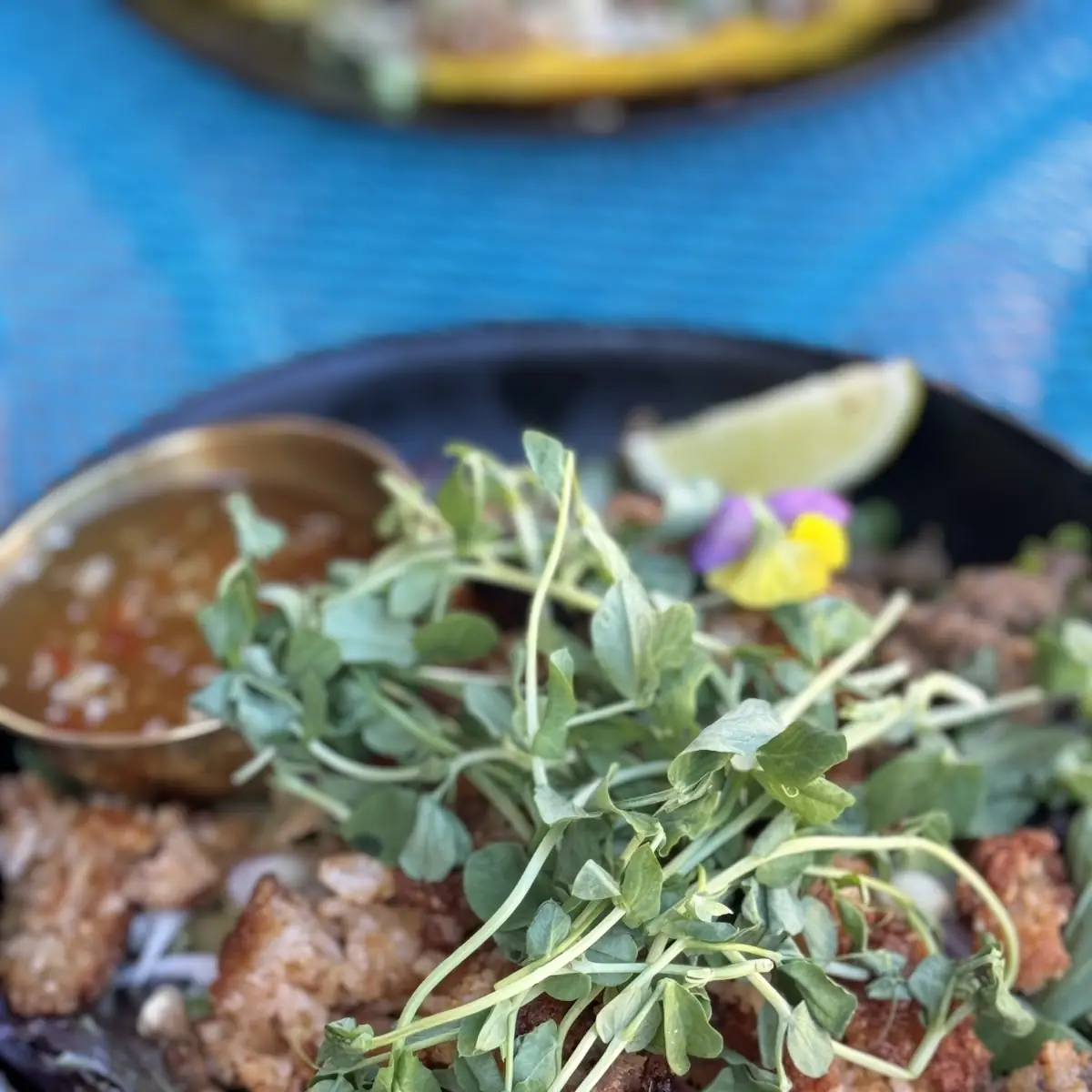 Nam Khao Salad