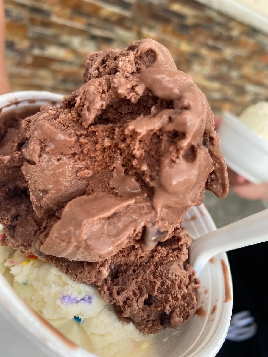 Chocolate Chip Ice Cream