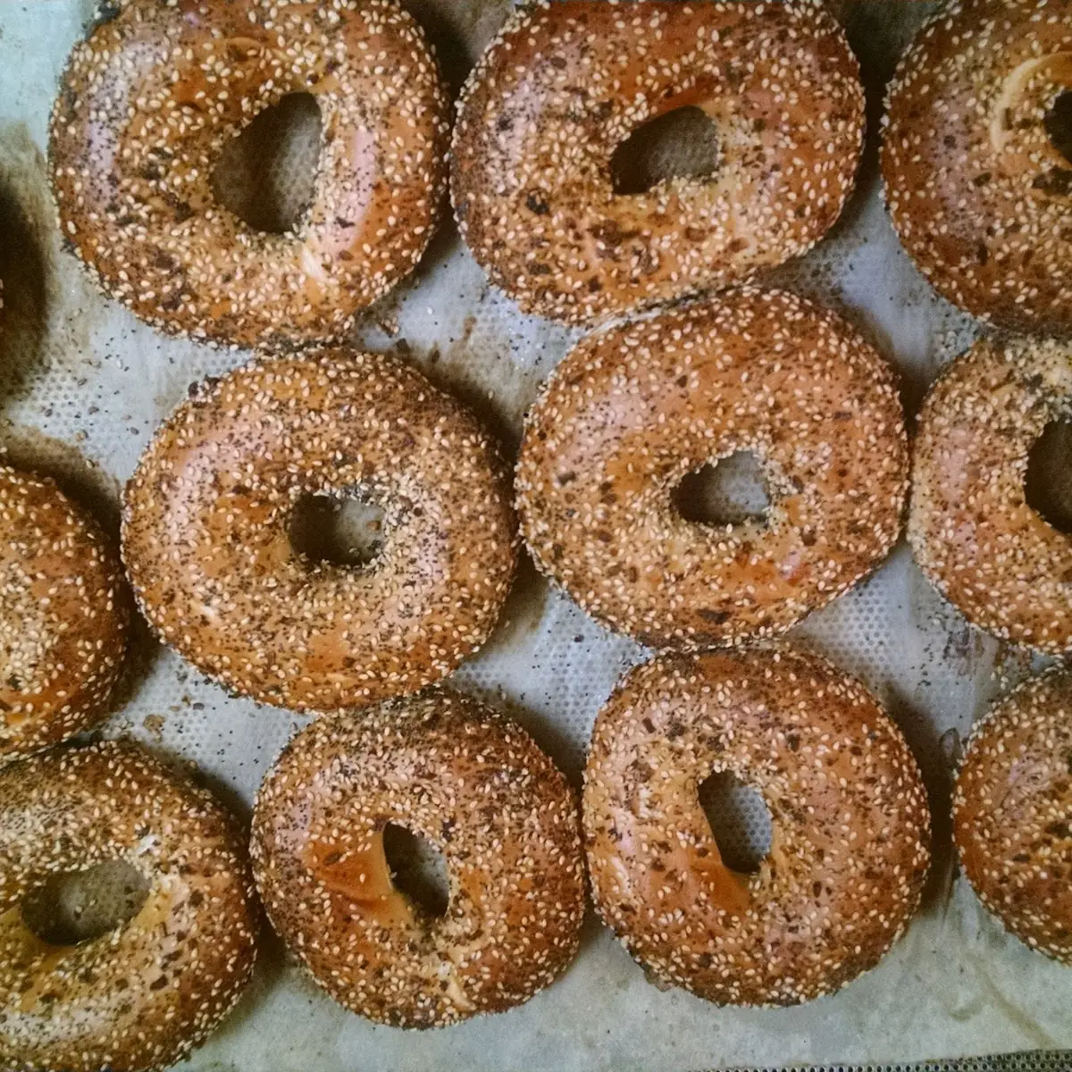 Everything Bagels