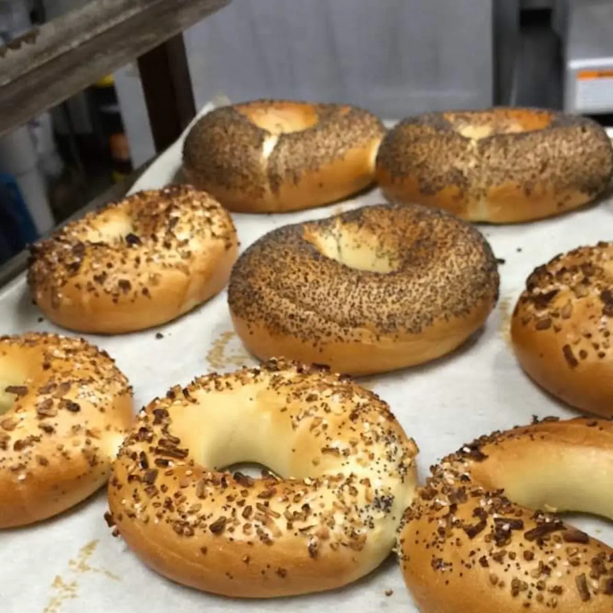 Fresh Bagels