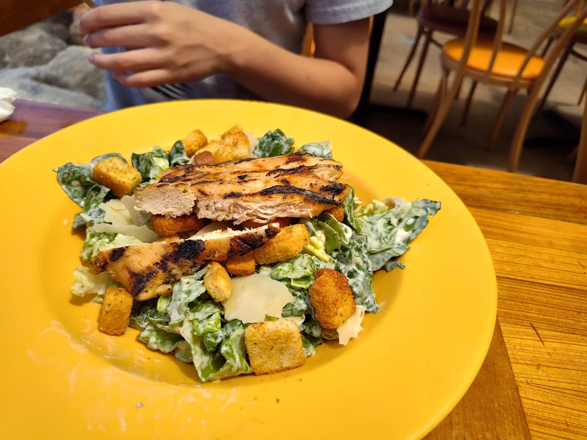 Chicken Caesar Salad