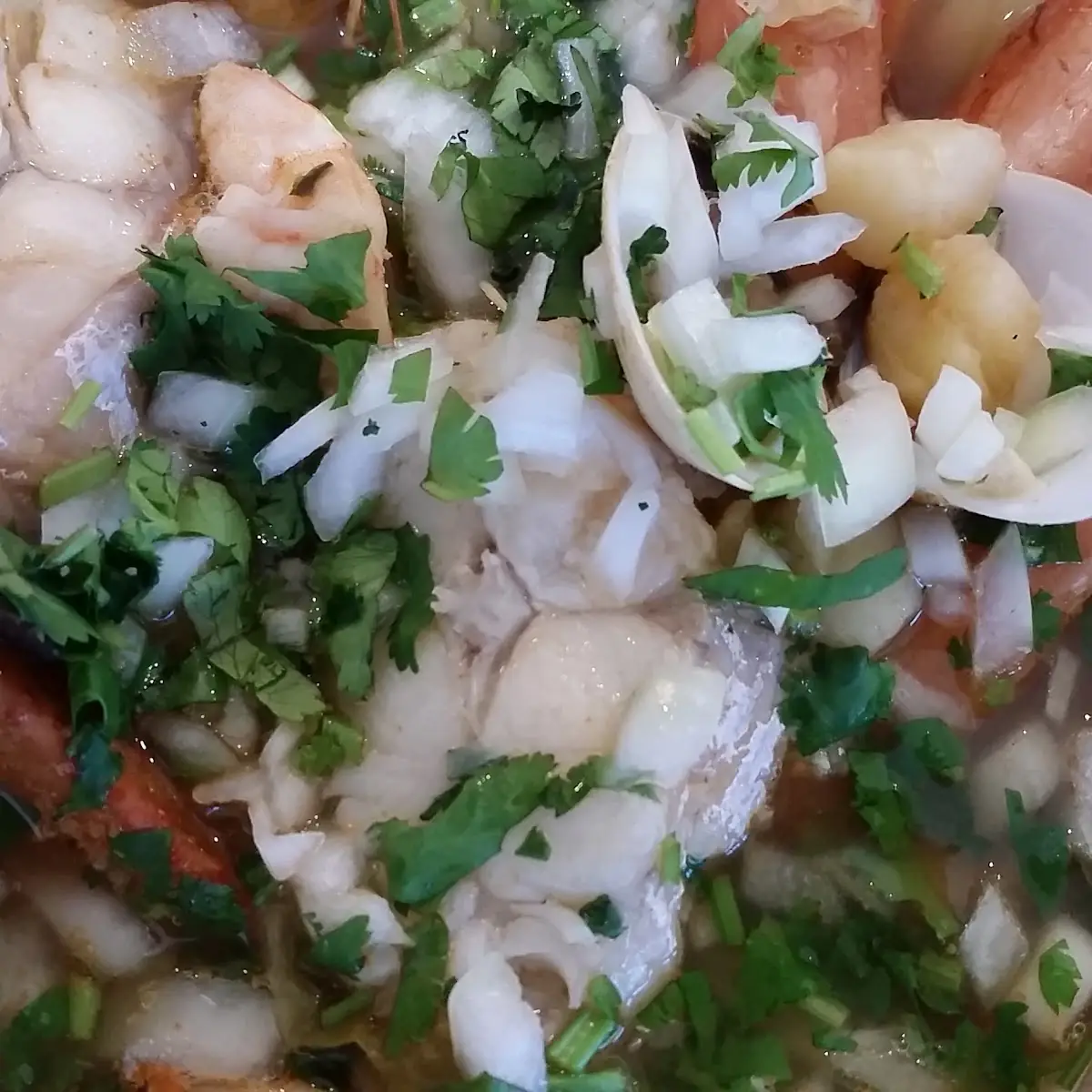 Seafood Soup