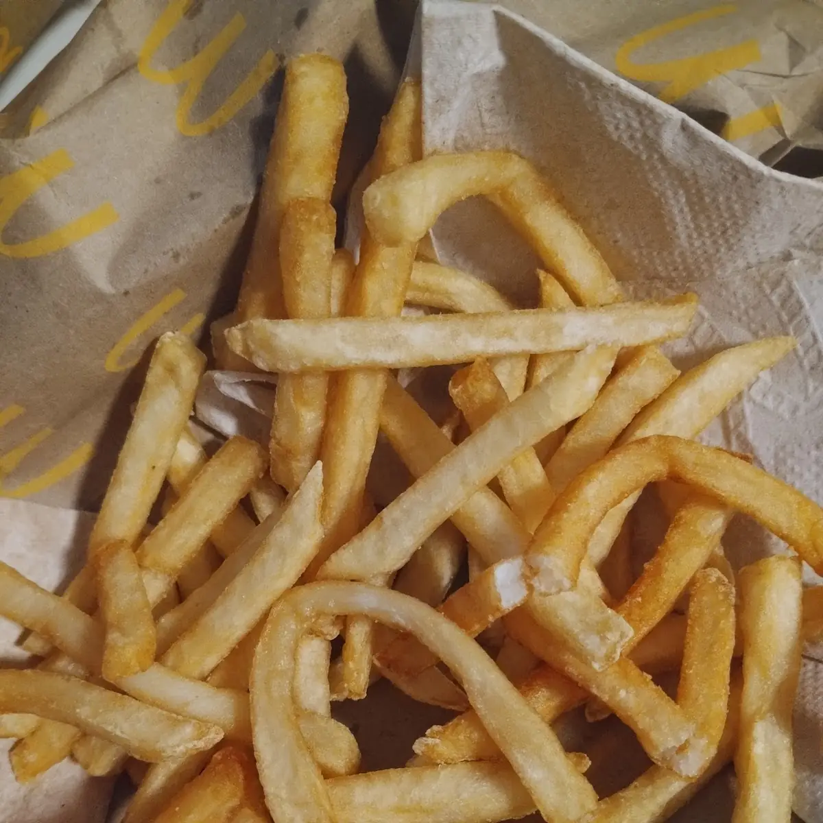 World Famous Fries