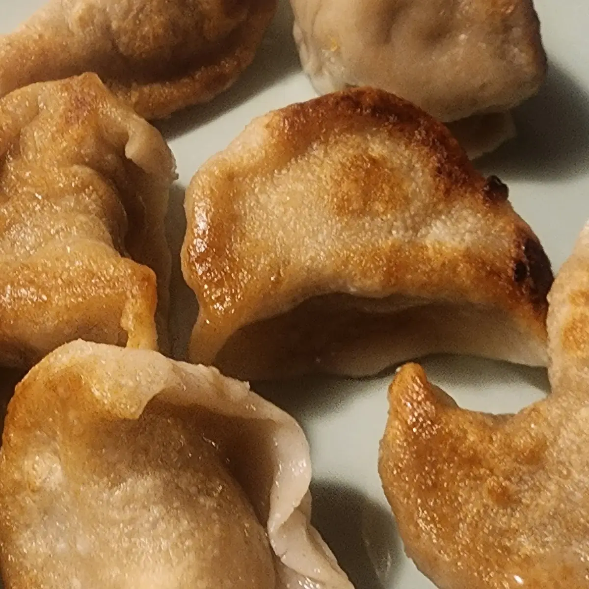 Fried Dumplings 8