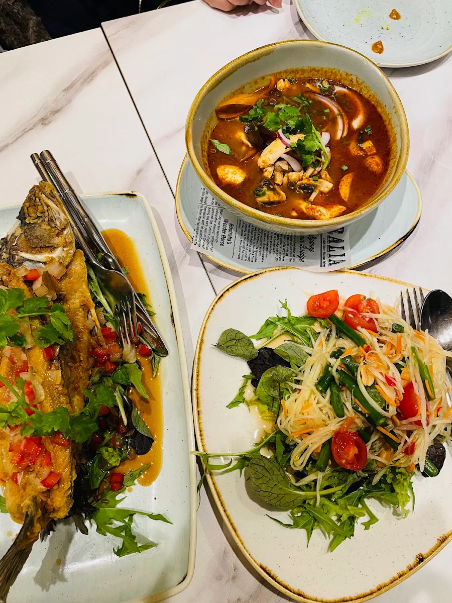Jungle Curry