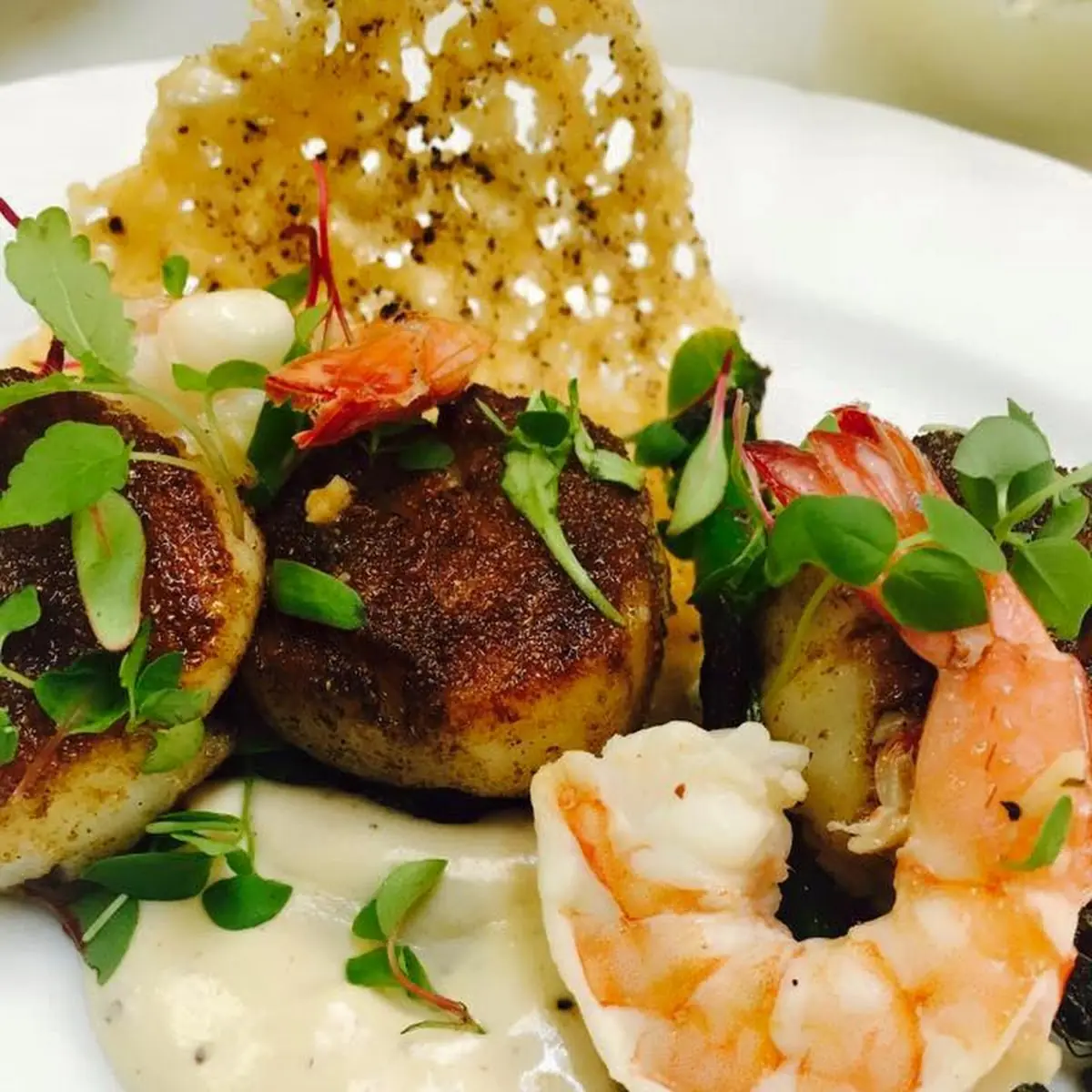Crab Cake