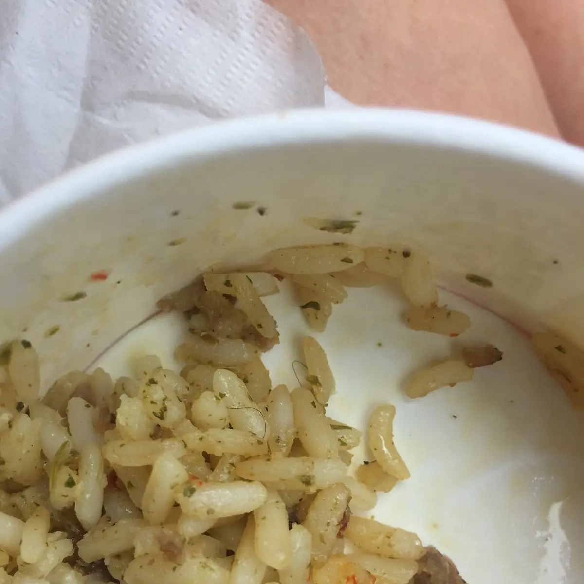 Bojangles Dirty Rice