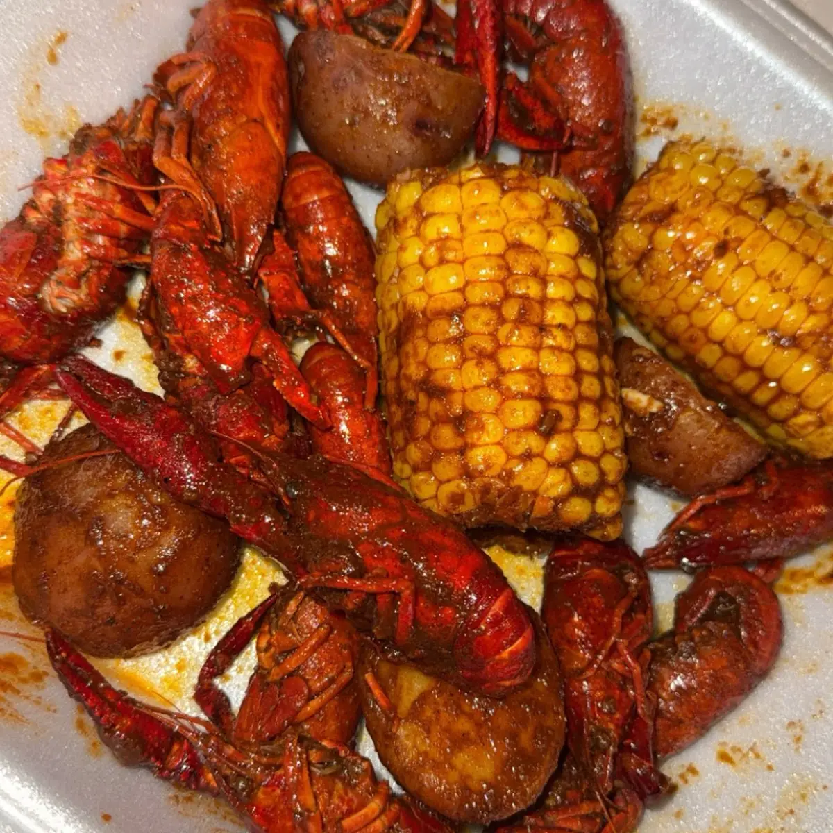Shrimp and Corn on the Cob