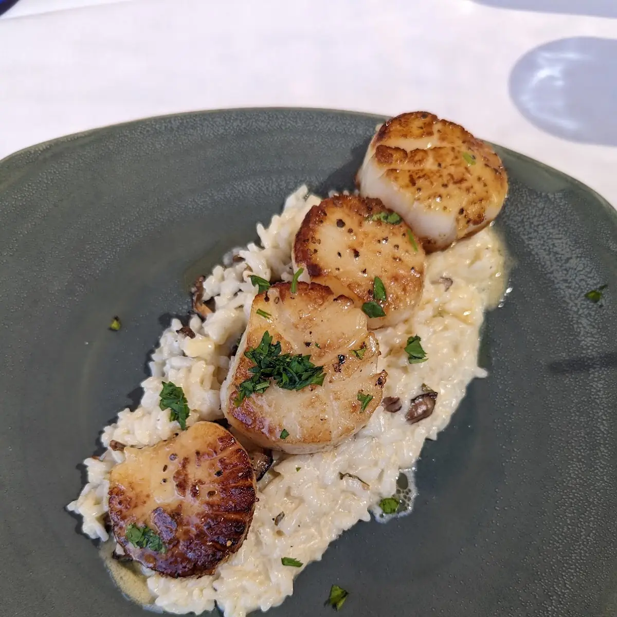 Pan Seared Scallops