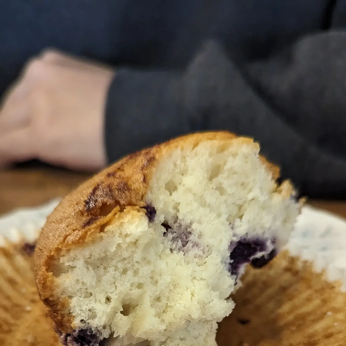 Blueberry Muffin