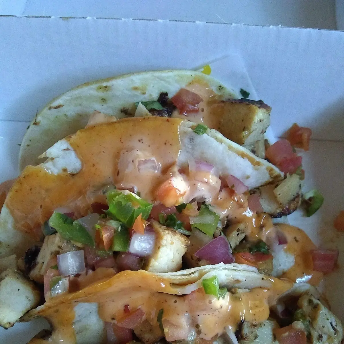 Chicken Quesadilla