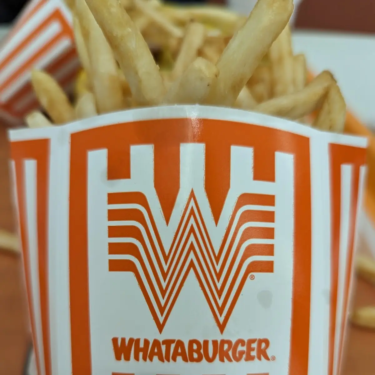 Medium Fries