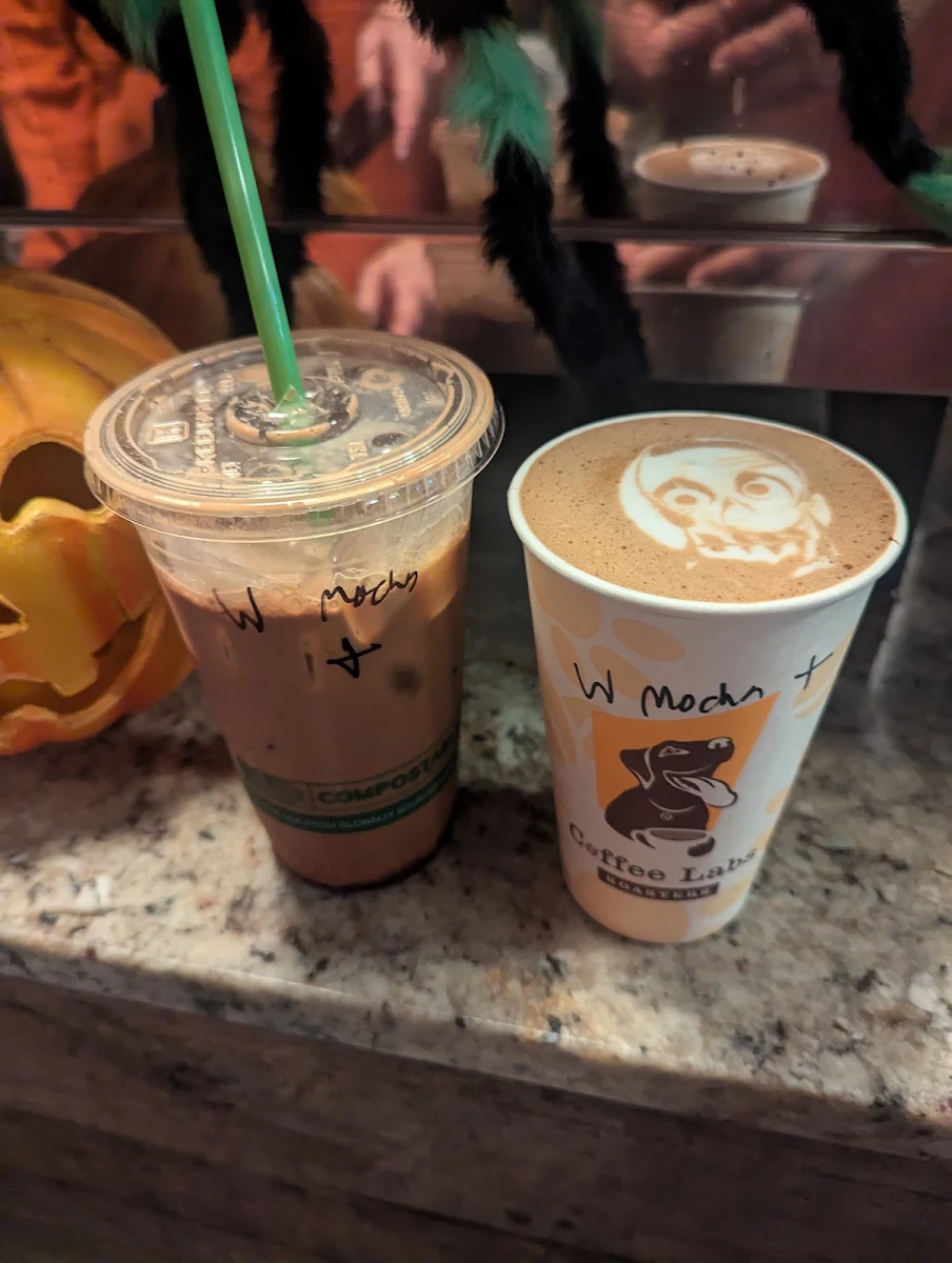 Hot & Iced Mocha Latte