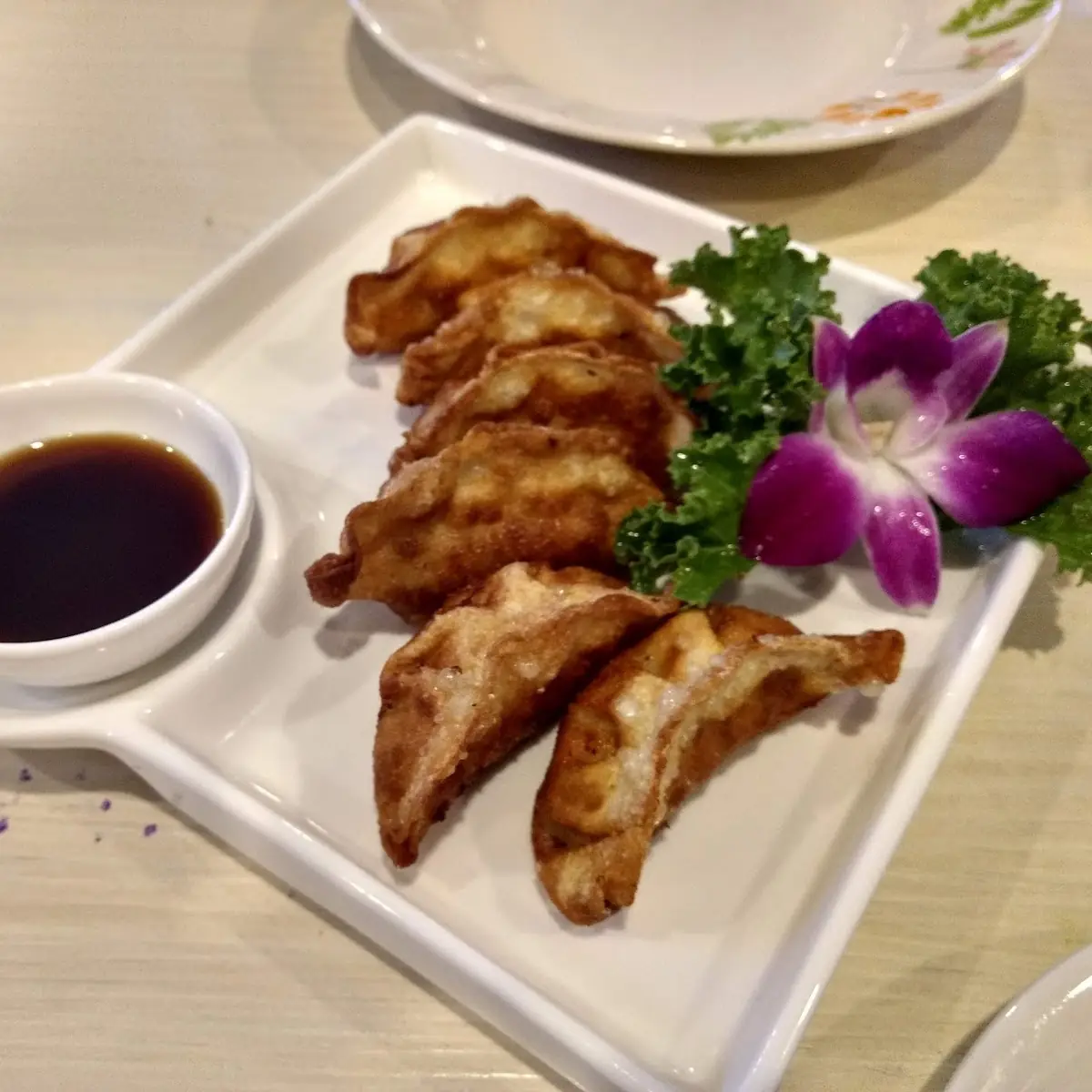 Fried Gyoza