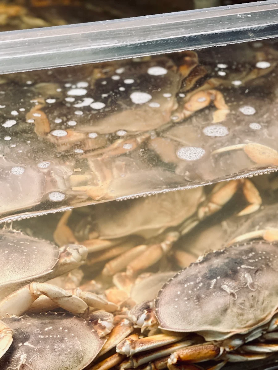 Crab Meat, Saigon Star Restaurant
