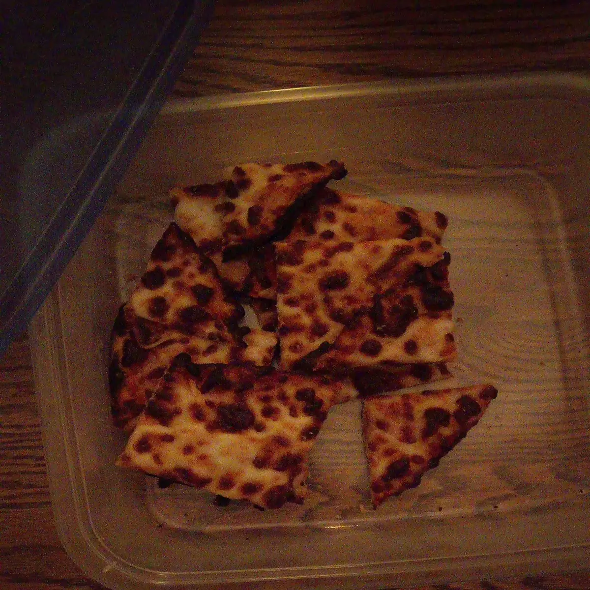 It Was a Medium Thin Cheese Pizza I Put It in a Container Because Nobody Liked It so the Dog Ate It
