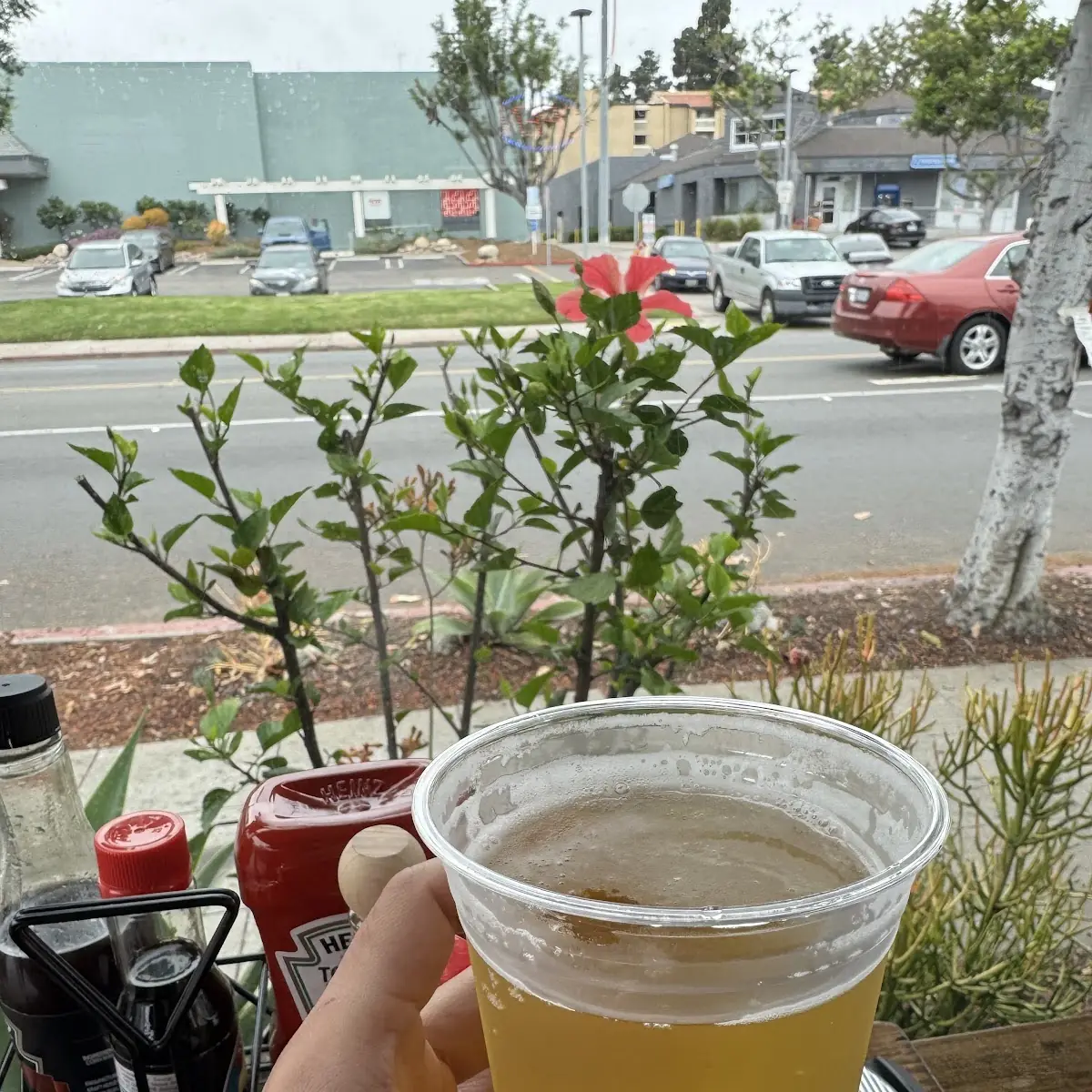 IPA Beer