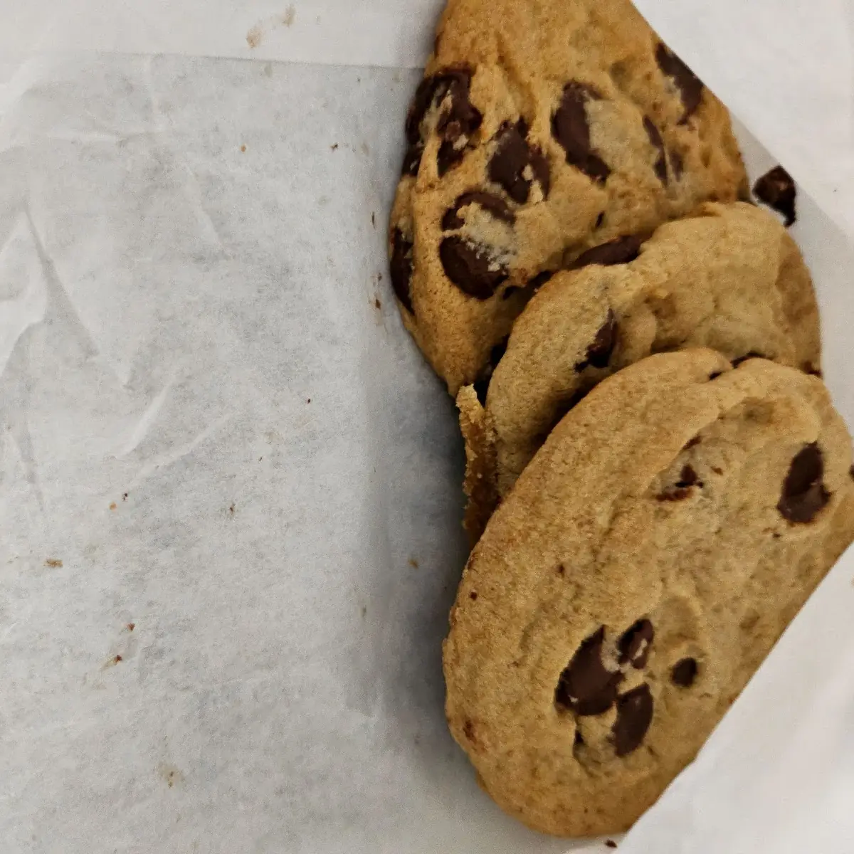 Chocolate Chip Cookie