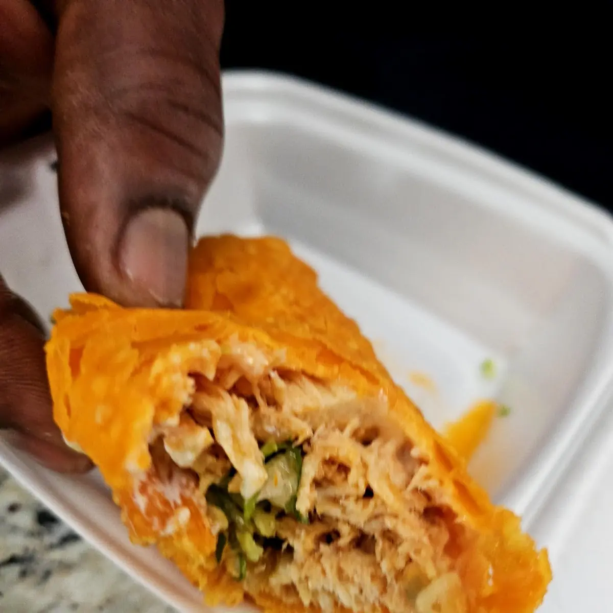 Stuffed Chicken Empanada