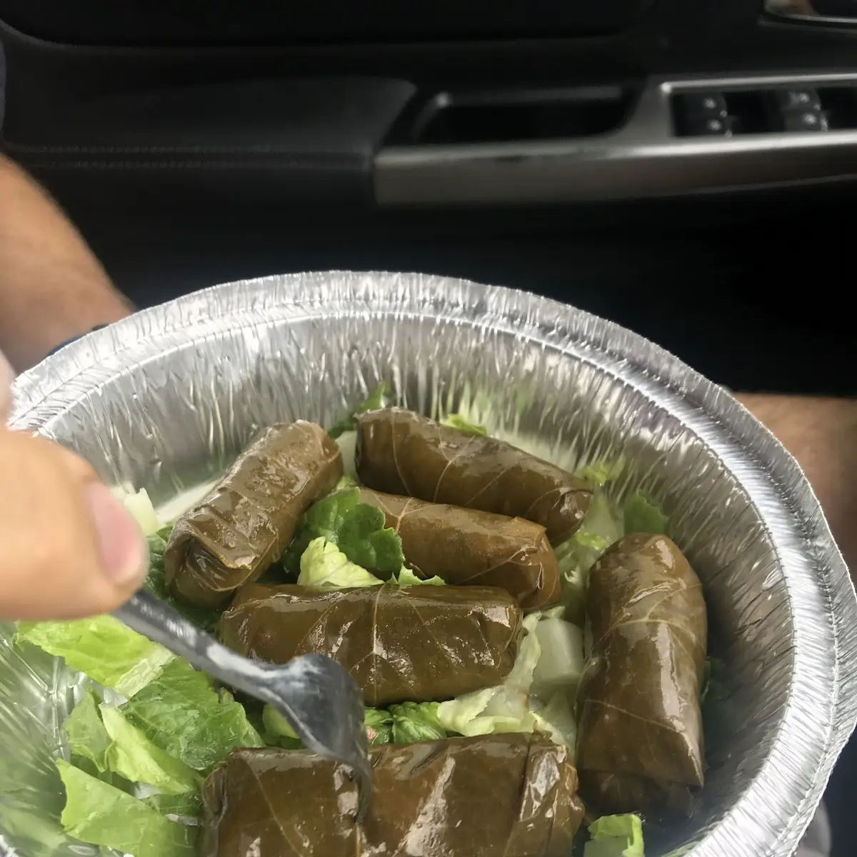 Dolmades Stuffed Grape Leaves