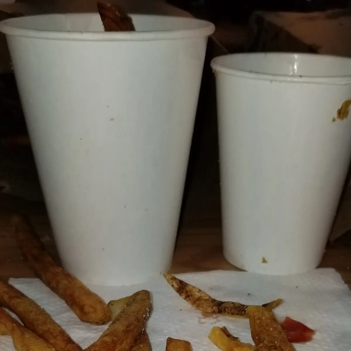Burnt over Cooked Old Fries