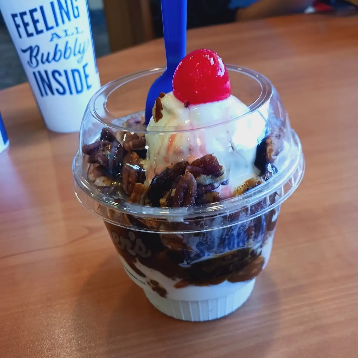 Turtle Sundae