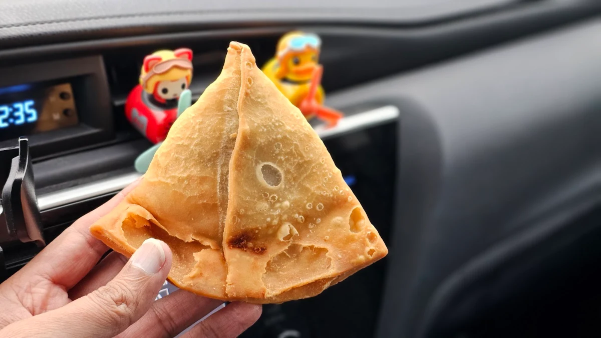 Large Vegetarian Samosa