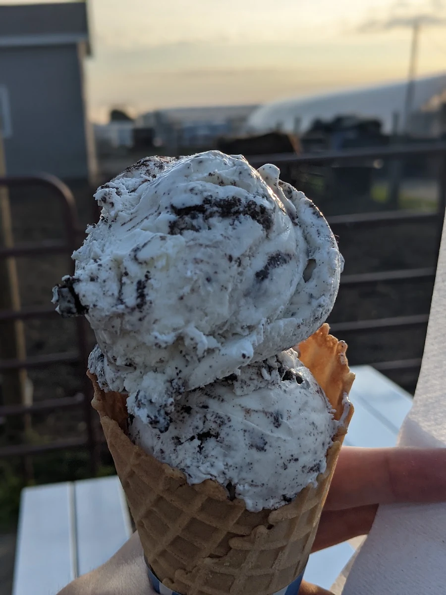 Jr Cookies & Cream
