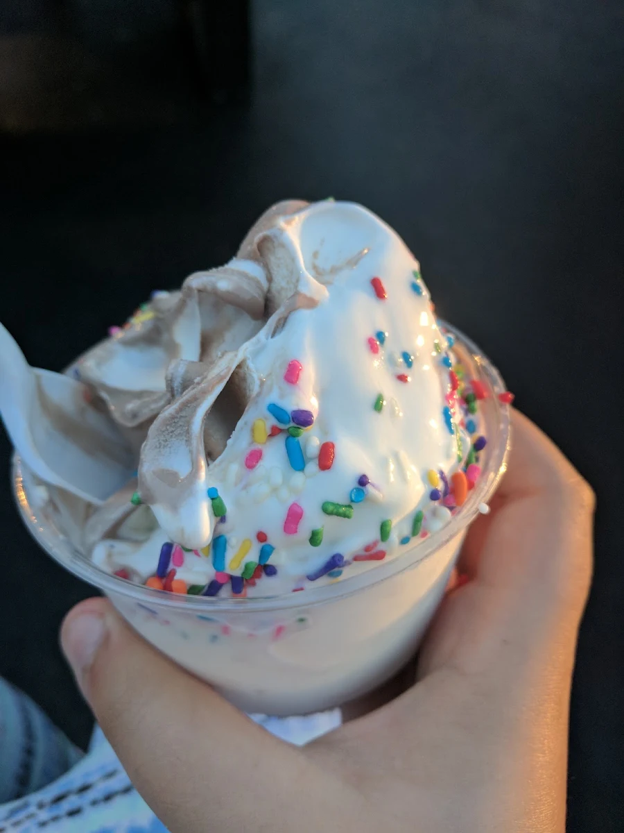 My Favorite Ice Cream